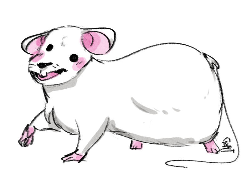 Linkey - Sideways the Dog